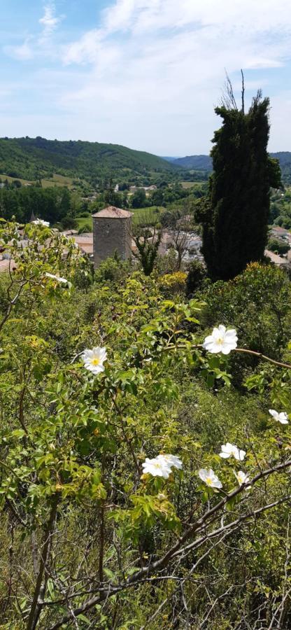 Loc Alp Verdon Apartment *